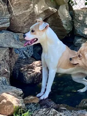 Marshmello - Photo 4