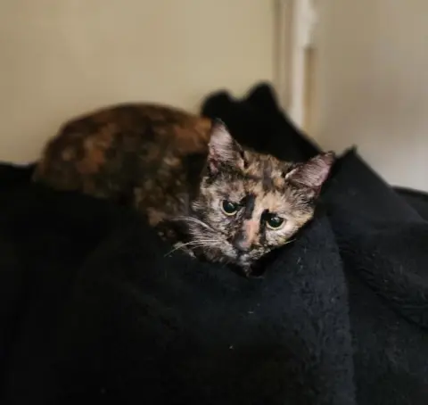 Bobbi Jean thumbnail 3