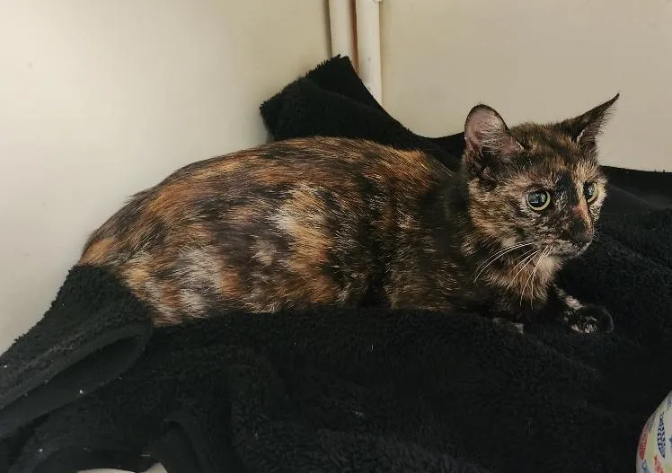 Bobbi Jean - Photo 4