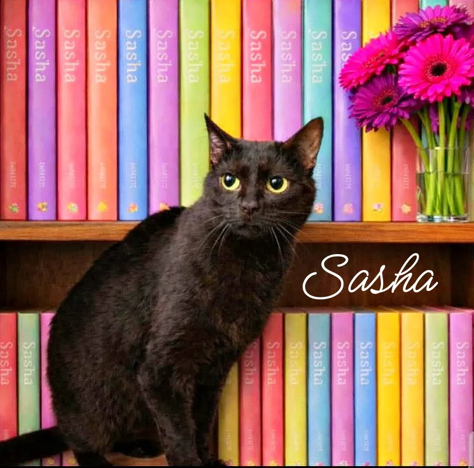 Sasha - Photo 1