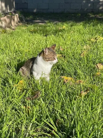 Baby Boy thumbnail 2