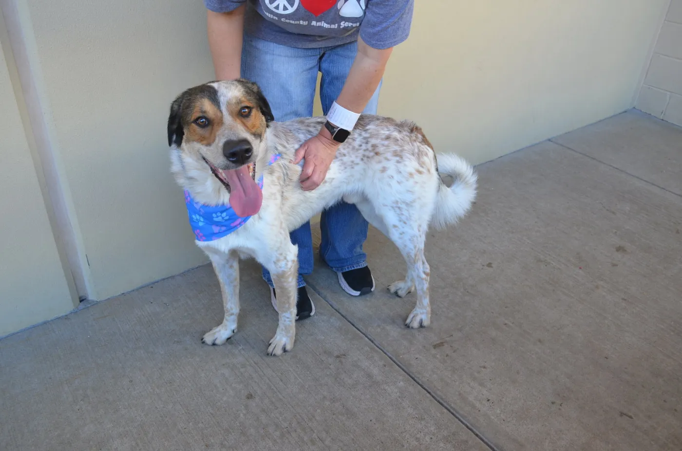 Pollen Ruff - Photo 1