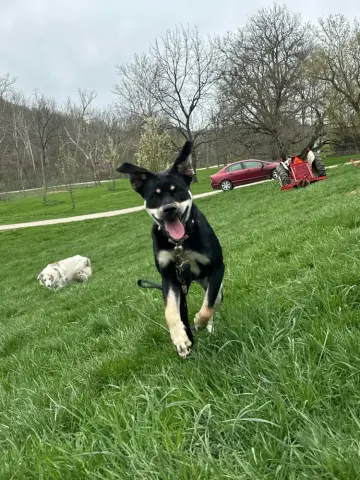 Katy Roo thumbnail 2