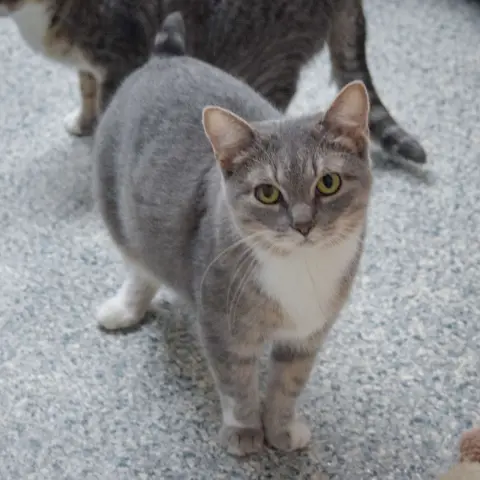 Winifred thumbnail 2