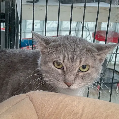 Winifred thumbnail 5