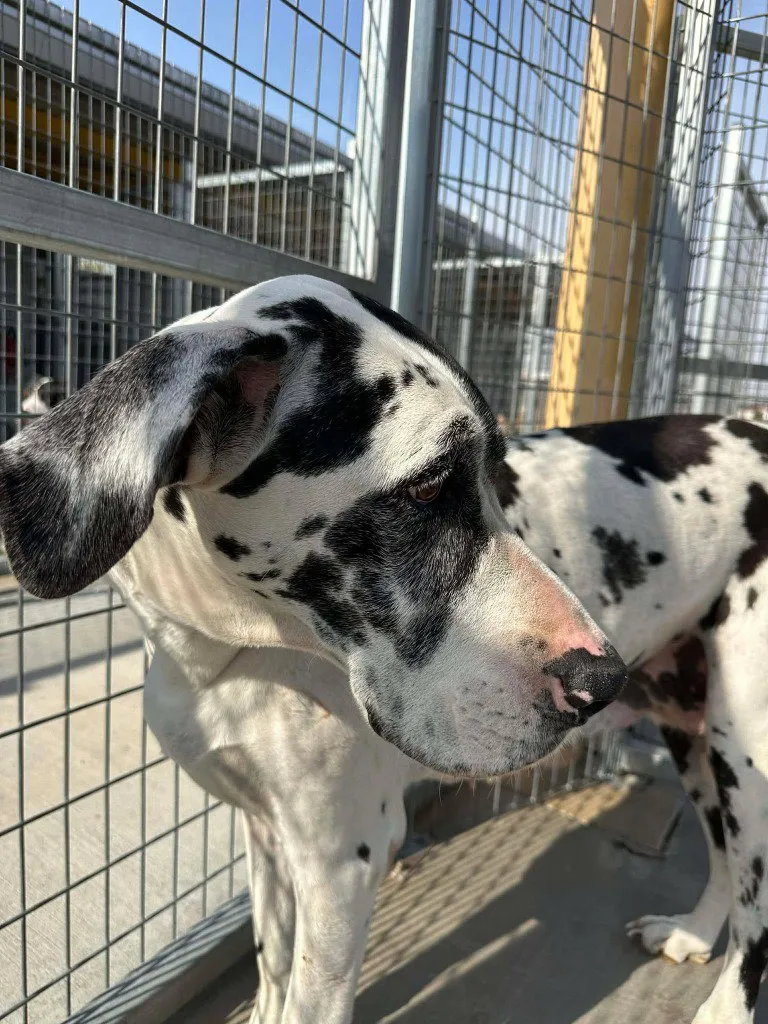 Maggie Moo - Photo 1