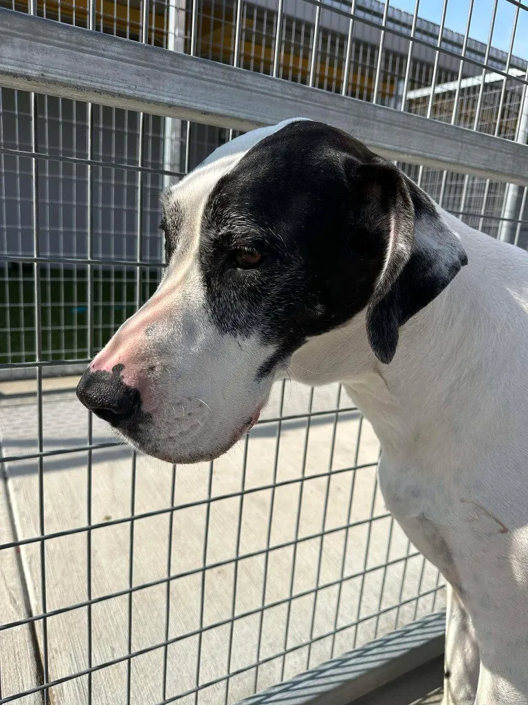 Maggie Moo - Photo 2