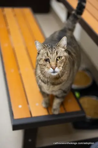 Skittles thumbnail 3