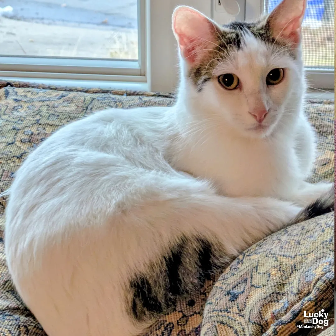 Bittie Casper - Photo 1