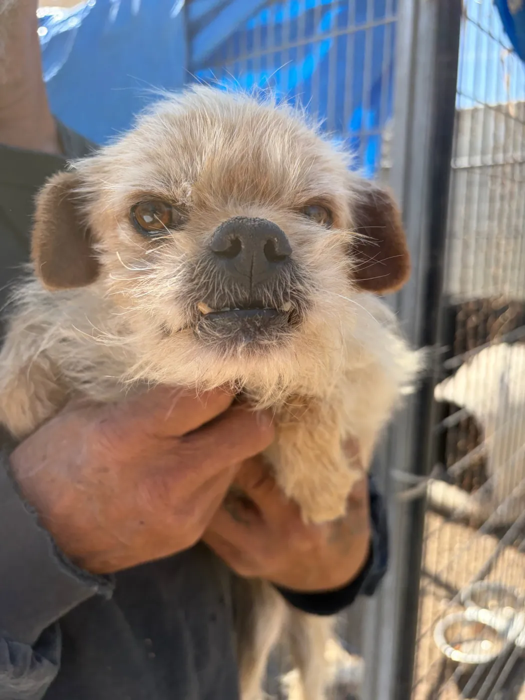 Harry Winston - Photo 2