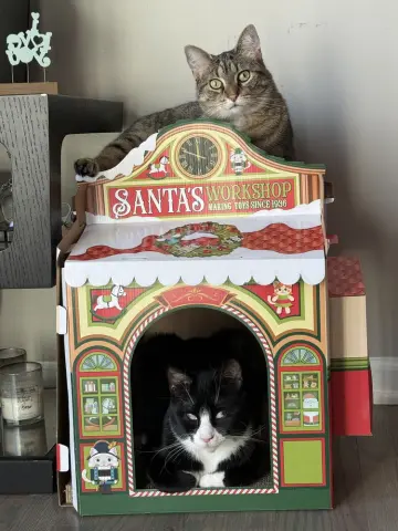 King Tuxy thumbnail 4