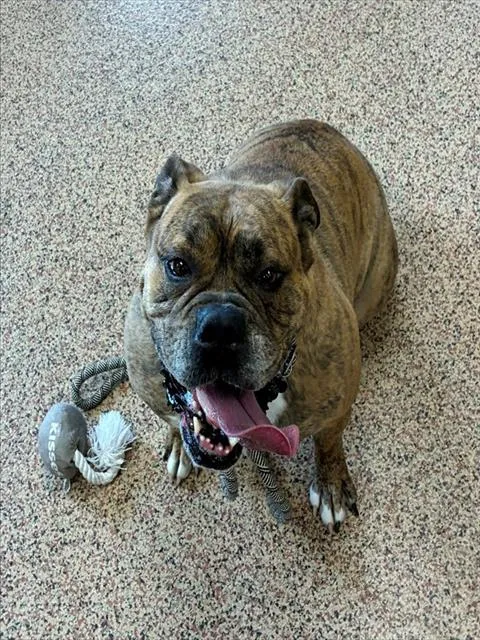 Tinkerbell - Photo 1