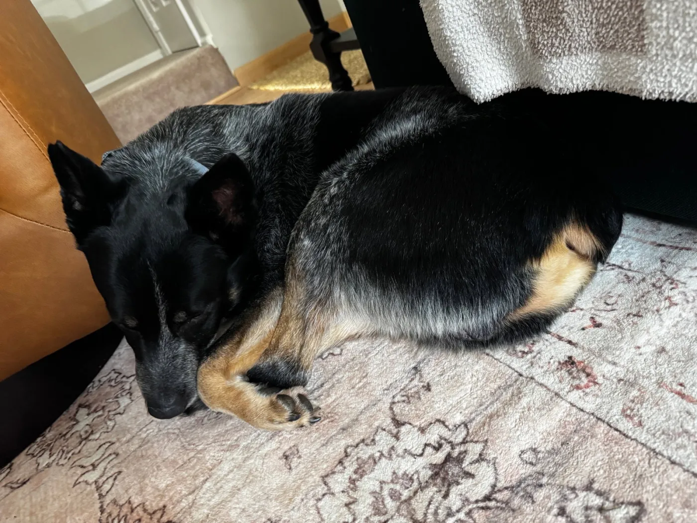 John Wayne - Photo 2