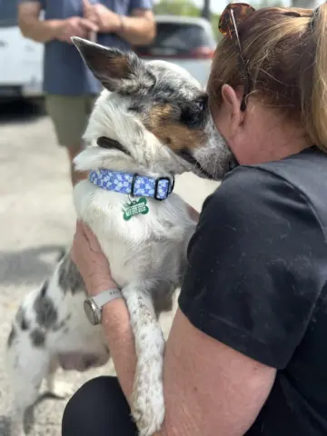 Dolly Mae thumbnail 2