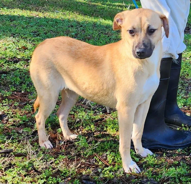 Tinkerbell - Photo 1