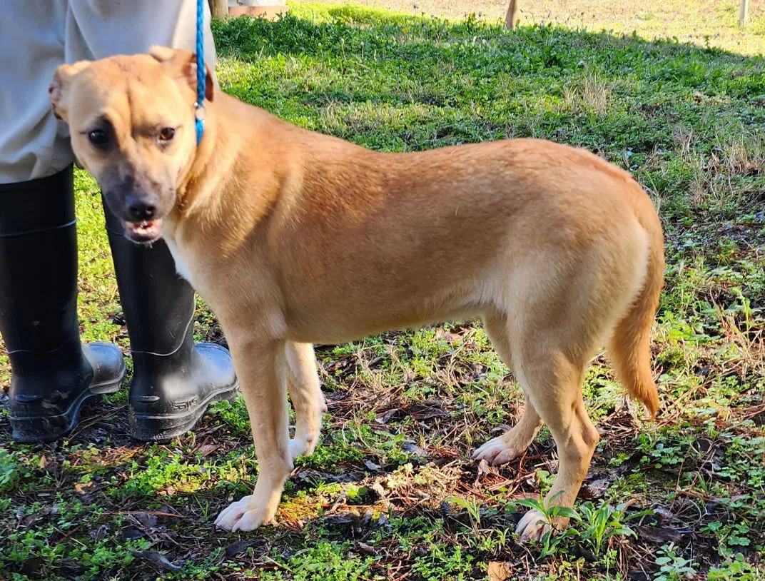 Tinkerbell - Photo 3