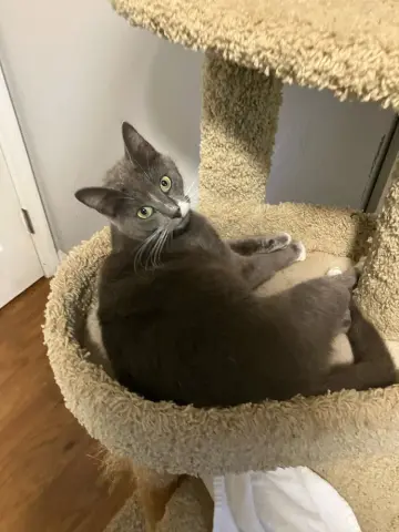 Postmark thumbnail 2