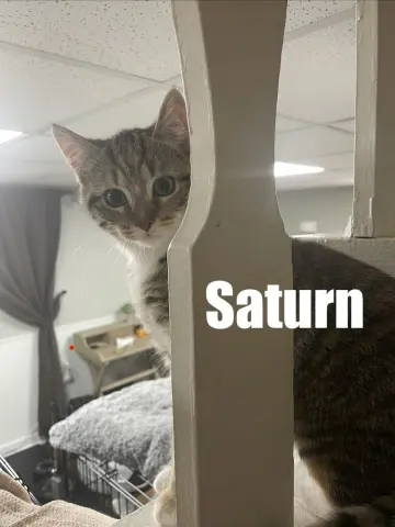 Saturn thumbnail 2