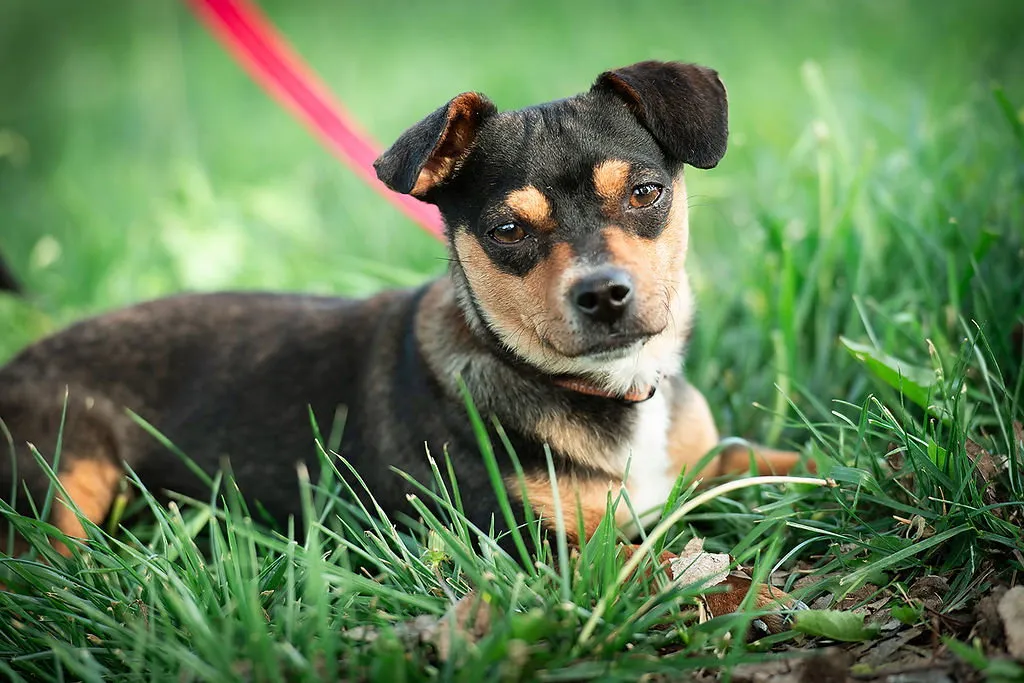 Trader Joe - Photo 1