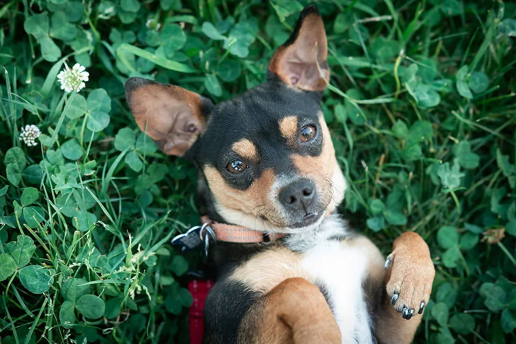 Trader Joe - Photo 2