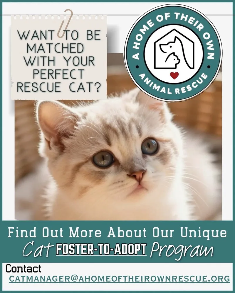 Foster-To-Adopt - Photo 1