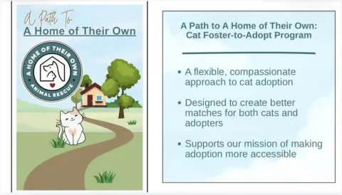 Foster-To-Adopt thumbnail 2