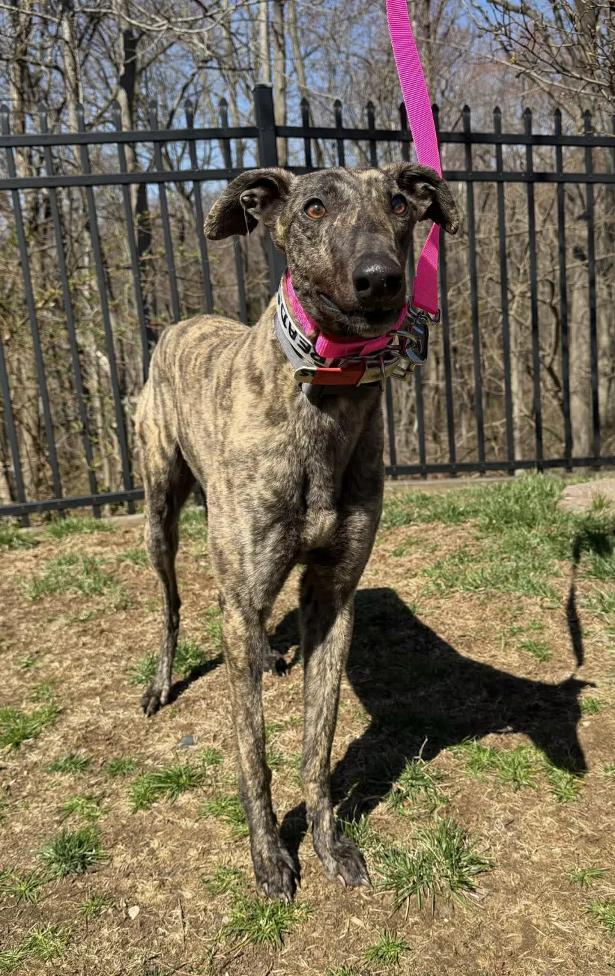 Threads N Giggles - Photo 1