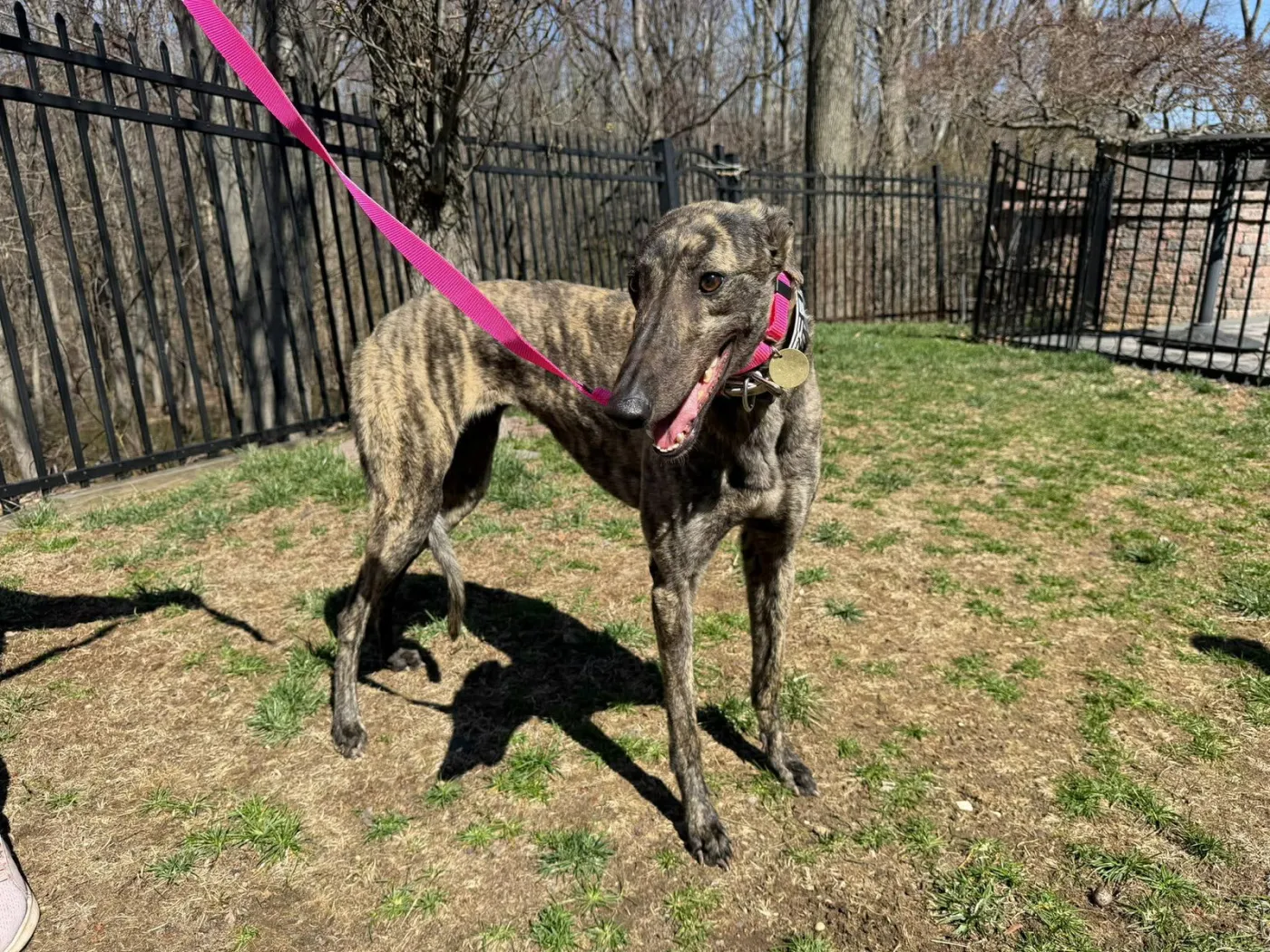 Threads N Giggles - Photo 2