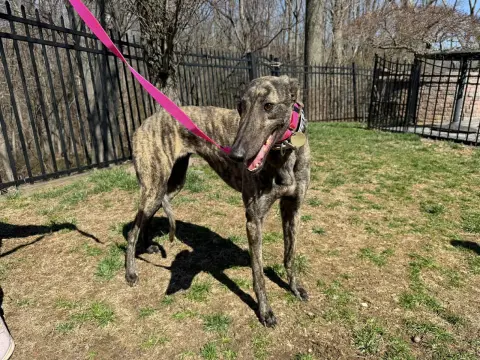 Threads N Giggles thumbnail 2