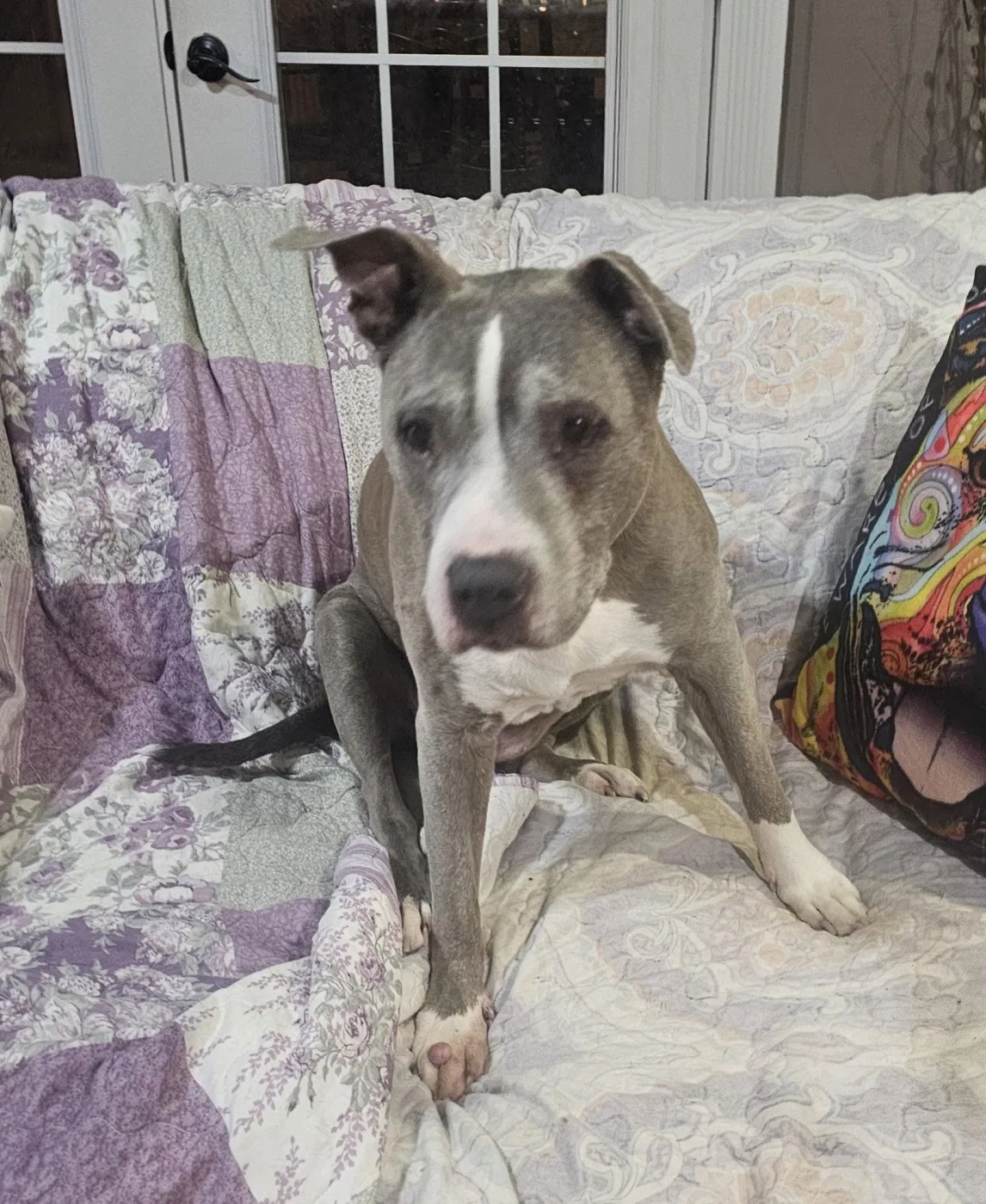 Betty Boop - Photo 1