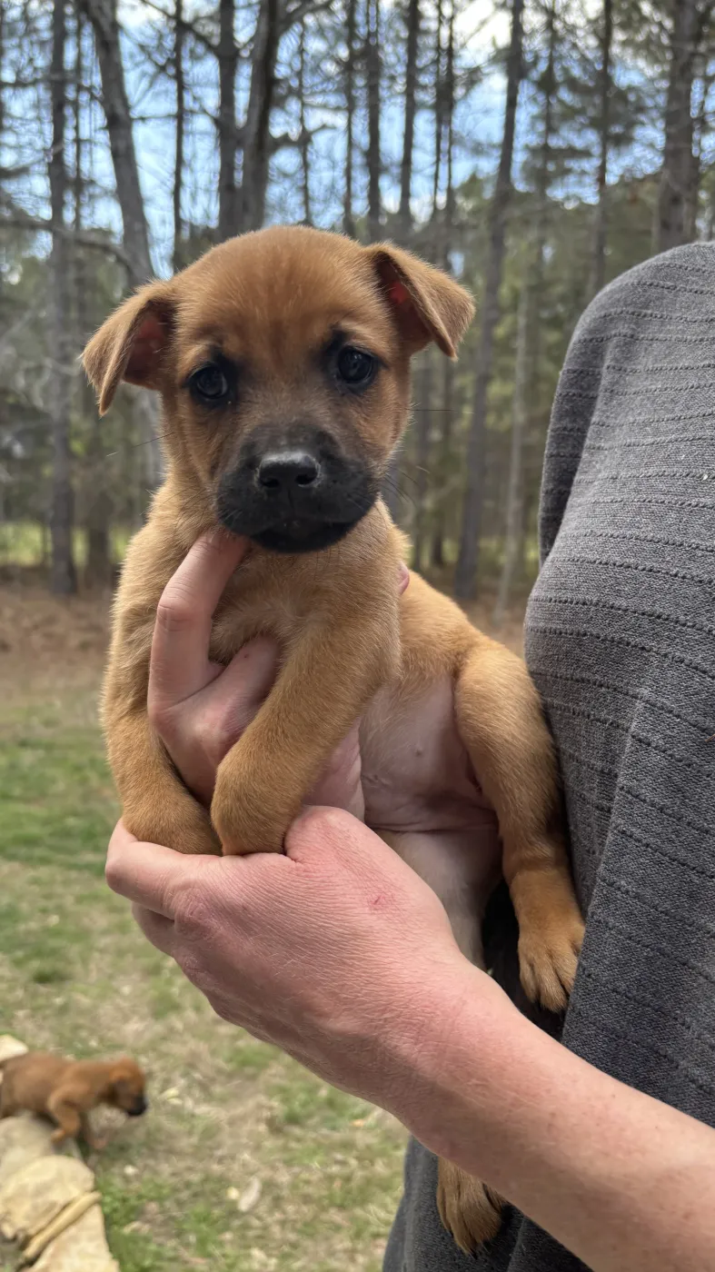 Bernadette - Photo 1