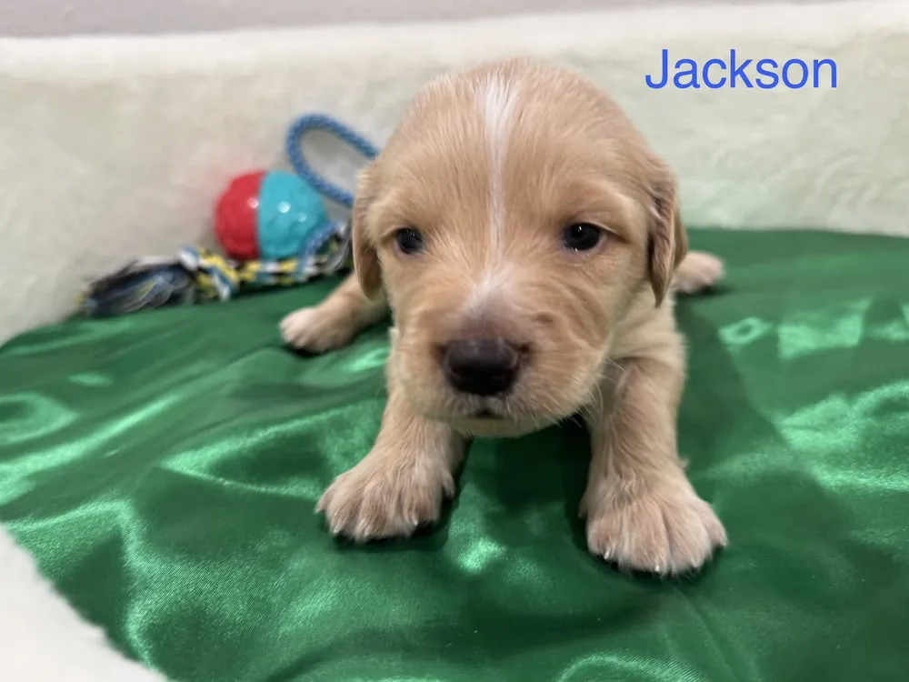 Clendening - Photo 2