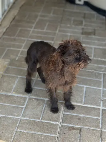 Billy Ray thumbnail 2