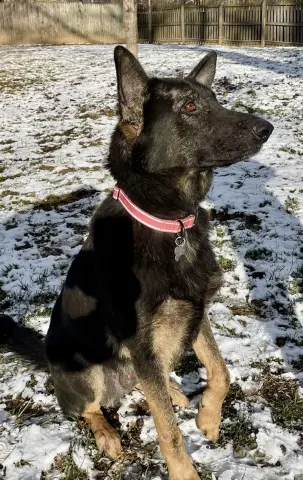 Berkeley thumbnail 3