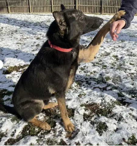 Berkeley thumbnail 5