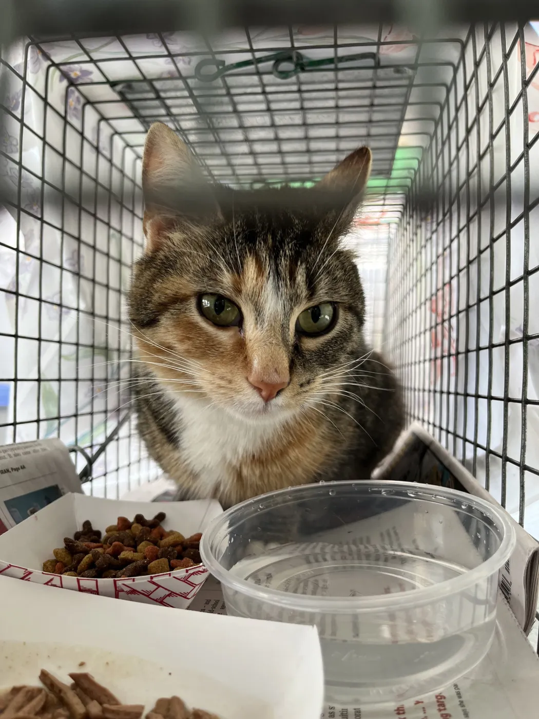 Luther Towers - Photo 1