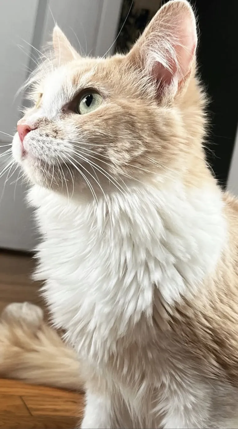 Tailor Swift - Photo 1