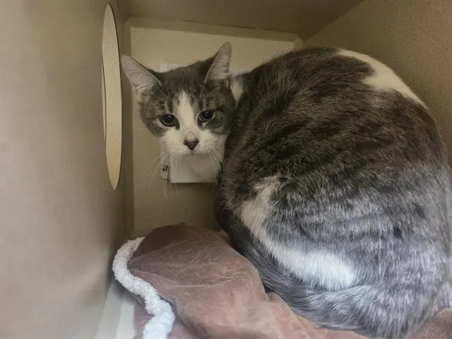 Eggo My Leggo - Photo 1