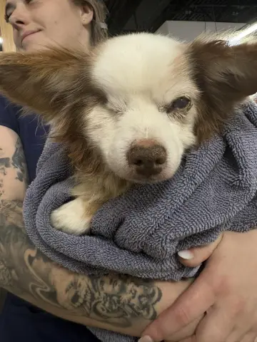 Salvatore thumbnail 2