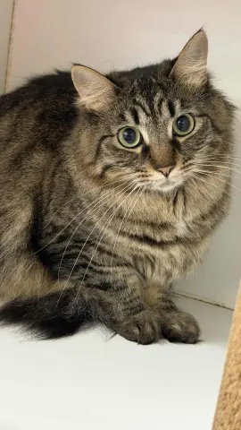 Nyla Harper thumbnail 2