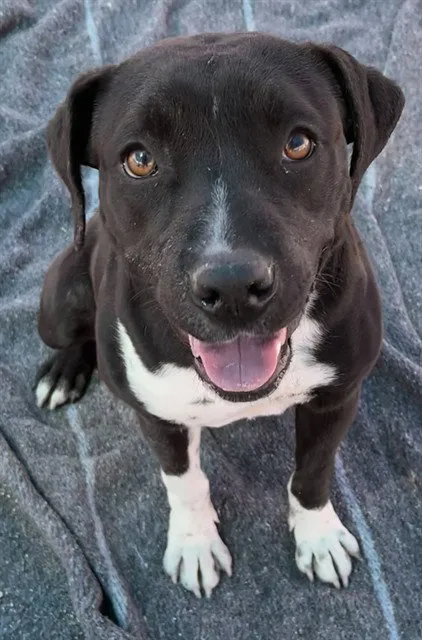 Sweet Girl - Photo 1