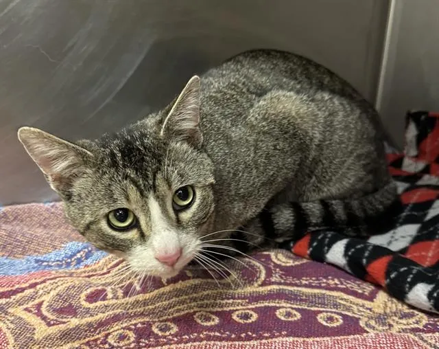 Walter Scrunkleton - Photo 1