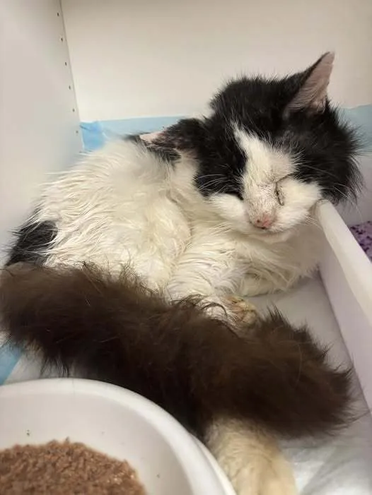 Constantine - Photo 1