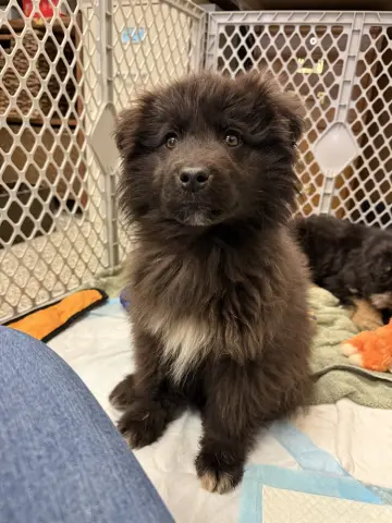 Sourdough thumbnail 2