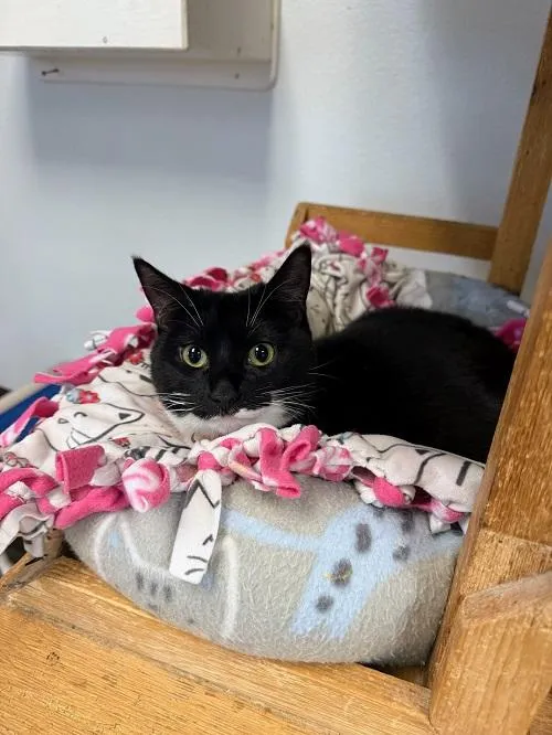 Jiffy Lube - Photo 2