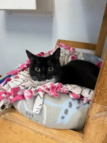 Jiffy Lube thumbnail 2