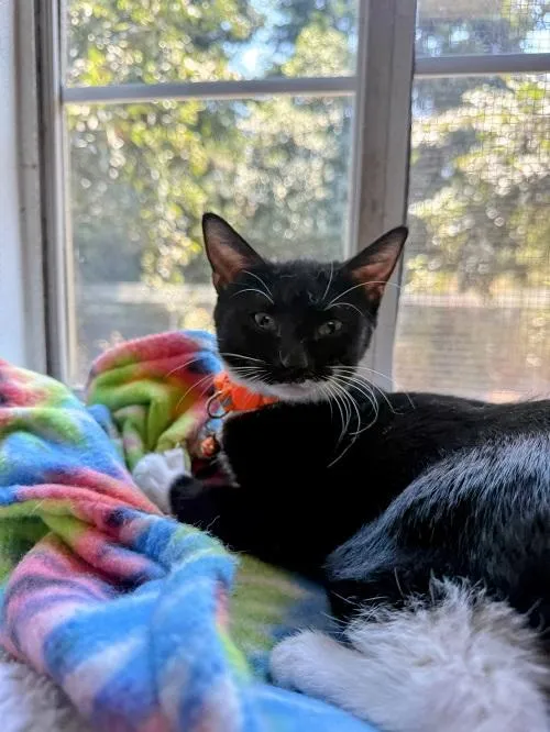 Jiffy Lube - Photo 4