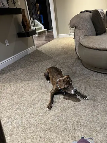 Aphrodite thumbnail 2