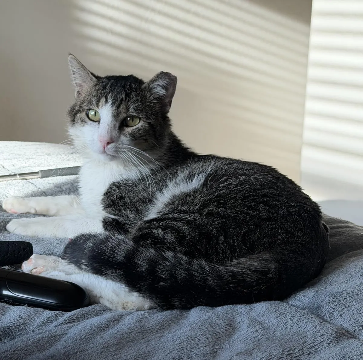 Peter Parker - Photo 1