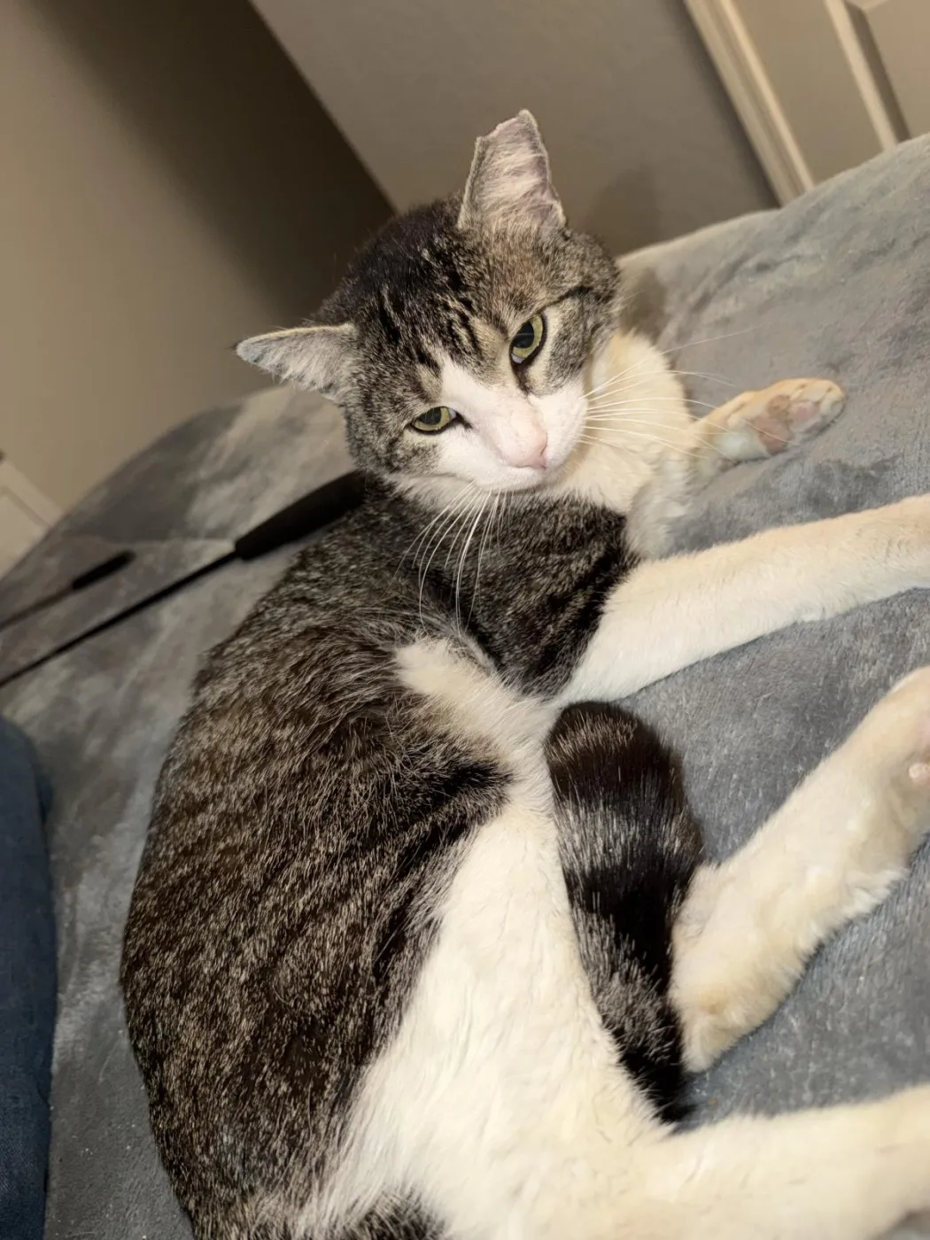 Peter Parker - Photo 2